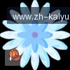 开云APP logo