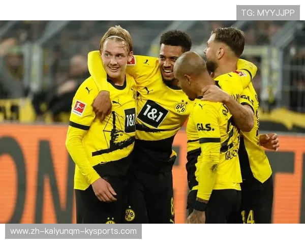 德甲降级球队名单及赛季表现总结